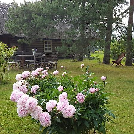 Maenni Summerhouse Kassari Εξωτερικό φωτογραφία